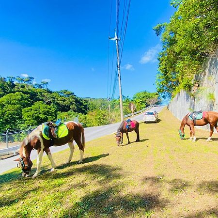 Muumin Farm Villa Nakijin Bagian luar foto