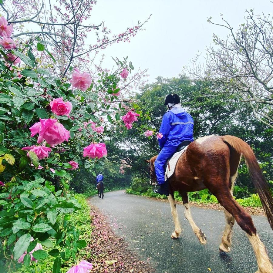 Muumin Farm Villa Nakijin Bagian luar foto