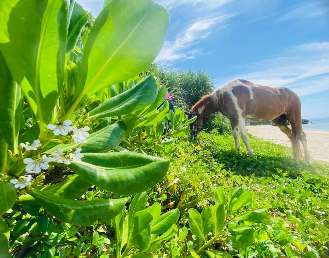 Muumin Farm Villa Nakijin Bagian luar foto