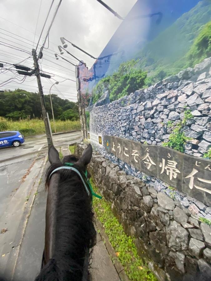 Muumin Farm Villa Nakijin Bagian luar foto