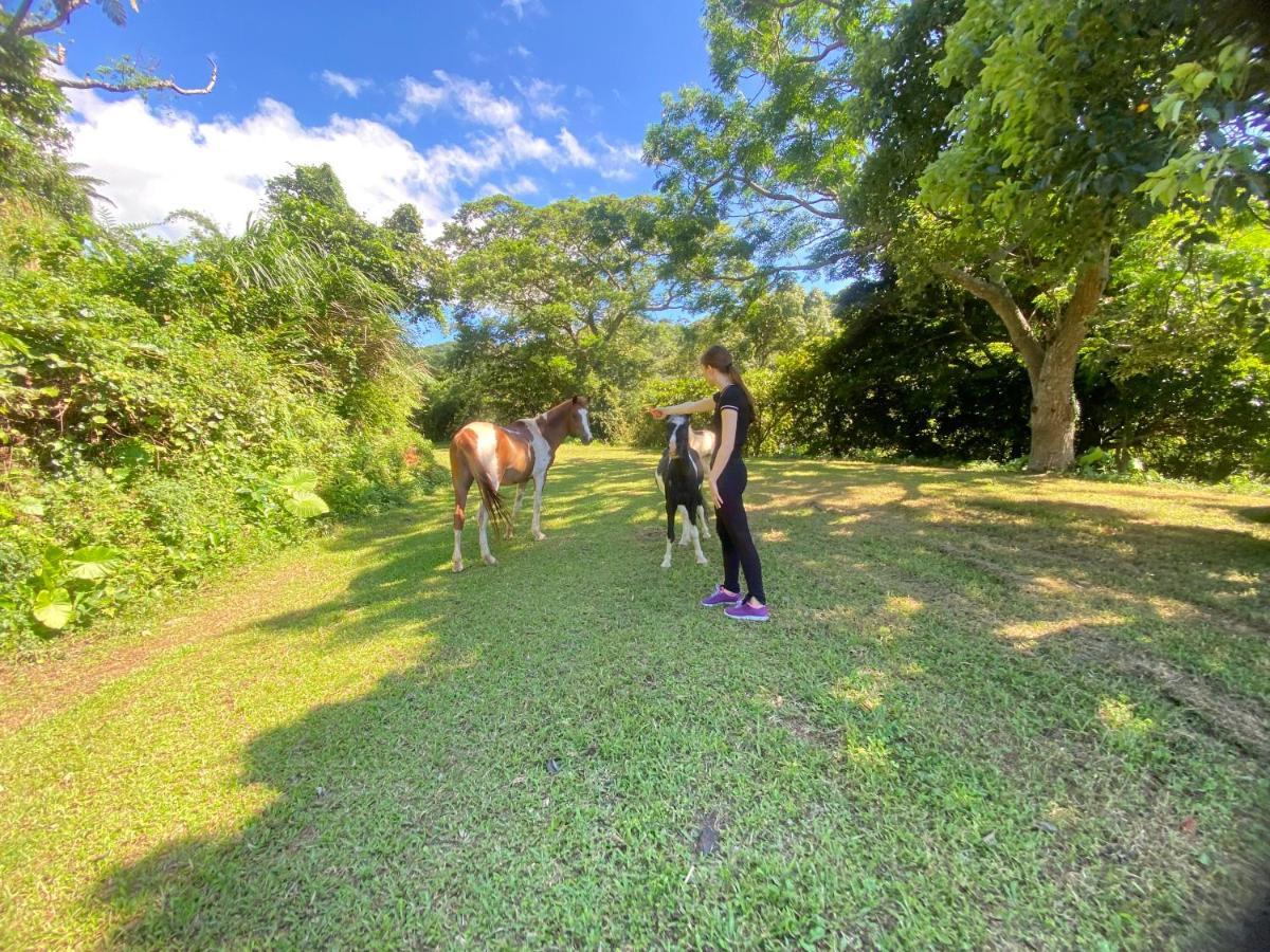 Muumin Farm Villa Nakijin Bagian luar foto