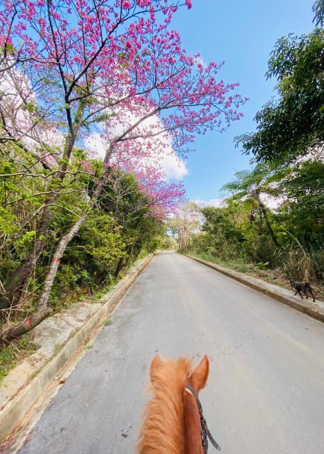 Muumin Farm Villa Nakijin Bagian luar foto