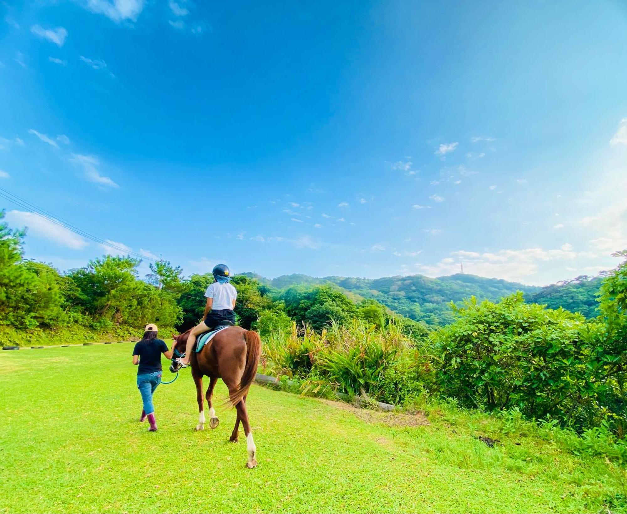 Muumin Farm Villa Nakijin Bagian luar foto