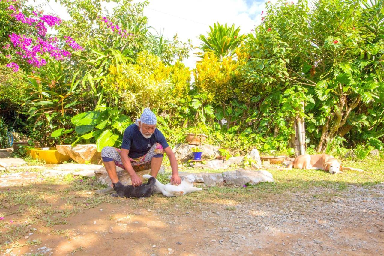 Muumin Farm Villa Nakijin Bagian luar foto